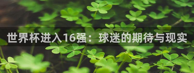 世界杯2026赛程表：世界杯进入16强：球迷的期待与现实