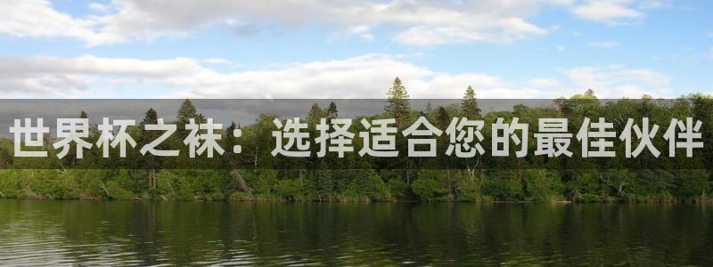 足球比分直播世界杯：世界杯之袜：选择适合您的最佳伙伴