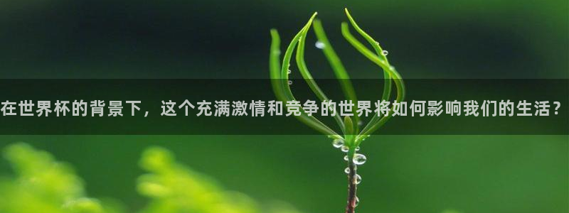 英足总杯直播：在世界杯的背景下，这个充满激情和竞争的世界将如何影响我们的生活？