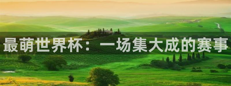 2026世界杯直播：最萌世界杯：一场集大成的赛事