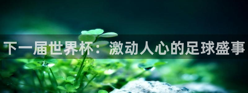 2026世界杯足球赛程时间表：下一届世界杯：激动人心的足球盛事