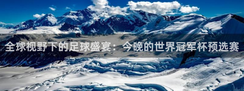 2026世界杯德国队阵容：全球视野下的足球盛宴：今晚的世界冠军杯预选赛