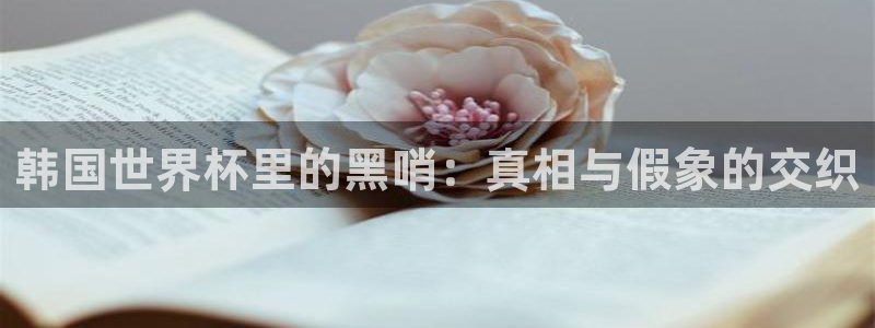 世界杯预选赛亚洲：韩国世界杯里的黑哨：真相与假象的交织