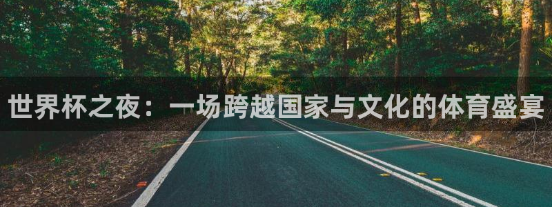 2026世界杯倒计时：世界杯之夜：一场跨越国家与文化的体育盛宴