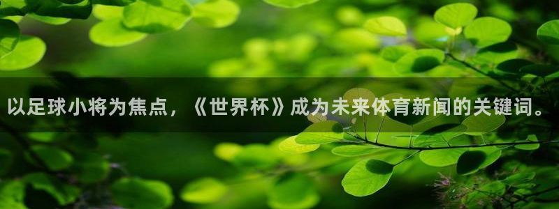 世界杯赛程表2026：以足球小将为焦点，《世界杯》成为未来体育新闻的关键词。