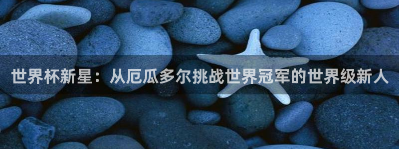 世界杯赛程时间表：世界杯新星：从厄瓜多尔挑战世界冠军的世界级新人