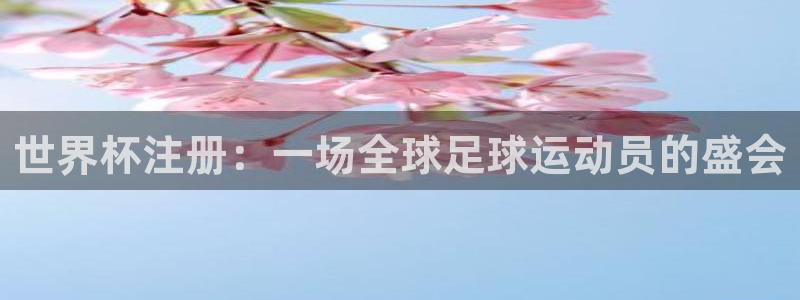 2026足球世界杯赛程时间表：世界杯注册：一场全球足球运动员的盛会