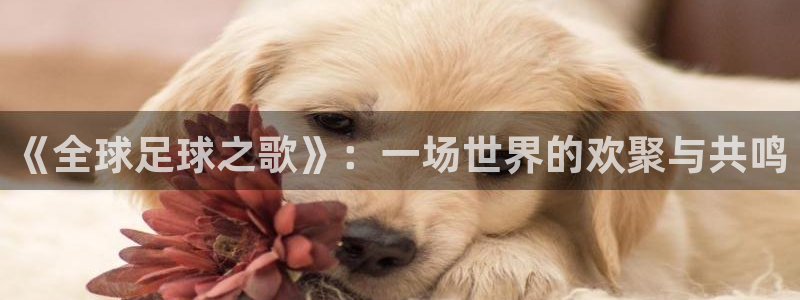 世界杯对阵表：《全球足球之歌》：一场世界的欢聚与共鸣