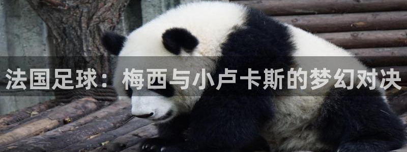 世界杯欧洲预选赛赛程：法国足球：梅西与小卢卡斯的梦幻对决