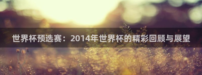 世界杯2026预选赛：世界杯预选赛：2014年世界杯的精彩回顾与展望