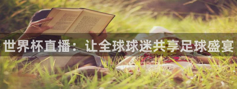 世界杯赛程表：世界杯直播：让全球球迷共享足球盛宴