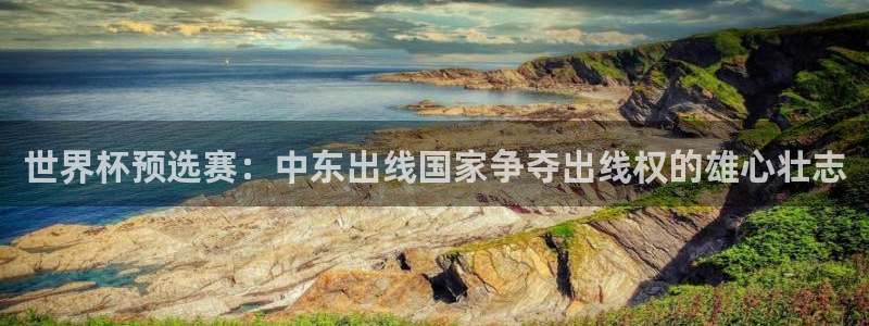 美国世界杯：世界杯预选赛：中东出线国家争夺出线权的雄心壮志