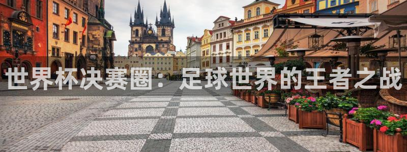 欧洲区世界杯预选赛：世界杯决赛圈：足球世界的王者之战