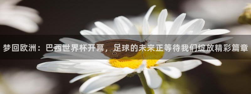 世界杯预赛赛程：梦回欧洲：巴西世界杯开幕，足球的未来正等待我们绽放精彩篇章