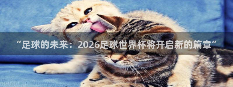 2026年世界杯直播平台：“足球的未来：2026足球世界杯将开启新的篇章”